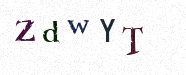 Visual Confirmation Security Code