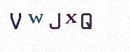 Visual Confirmation Security Code