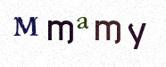 Visual Confirmation Security Code